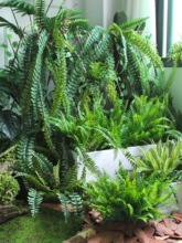 ��˹���~ާ�ֲ��ٻ��ݾGɫ�~�ӻ�cܛ�b�廨��ı������b�