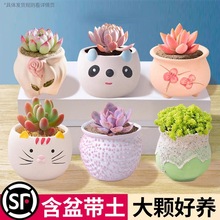 ֲMմɻkһܾGֲk͏dBNֲ