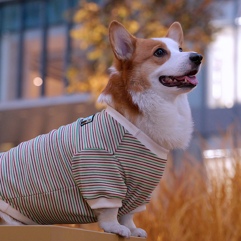 Tigerdog Corgi Shiba Inu Dog German Velvet Knitted T-Shirt Sweatshirt Teddy Small and Medium Dog Clothes Pet Dog