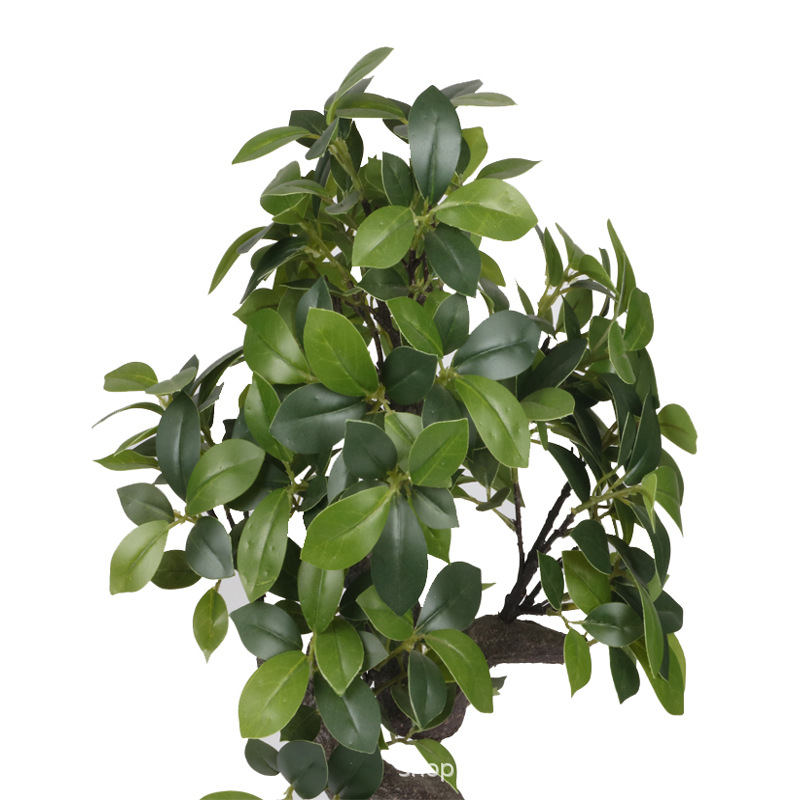 XRS-160 迷你榕叶8号盆栽207叶2.jpg