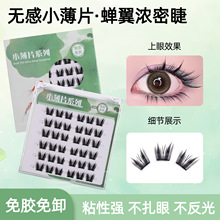 �����ǿ羳�⽺�ٽ�ë С��Ƭ����ʽ��ȻŮ������ճ�۽�ë����OEM