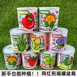 文具套装;中性笔;橡皮擦