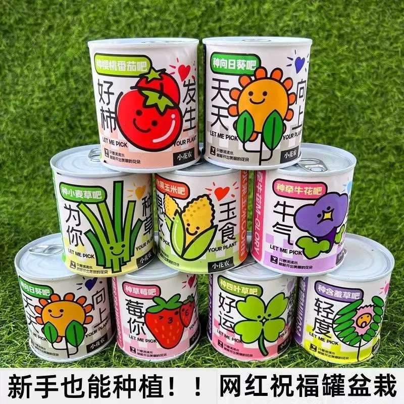 儿童植物罐头创意小盆栽栽培桌面迷你绿植草莓向日葵种植种子盲盒