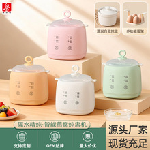 工厂直销 迷你燕窝炖盅机家用多功能炖汤宝宝辅食隔水炖电炖锅