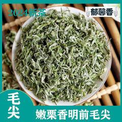 都匀毛尖緑茶2025年新茶 明前特級高山雲霧茶 貴州茶葉卸売 明前茶