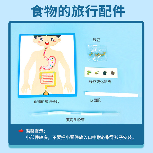 Physiological digestive system for experiments for traveling