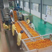 �S��ֱ�N��С����ˮ����ݮ�{ݮ��ݮ֭���a�� �S��֭���a�O��