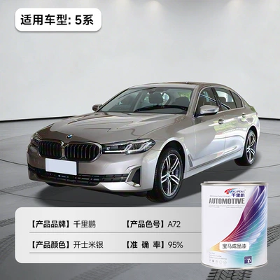 Avtomobil boyası – Paint - bmw-5-series-cashmere-silver-a72-1lcan-liquid-paint