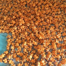 º26988{·   19966Aۇ  Iǰ̎χ