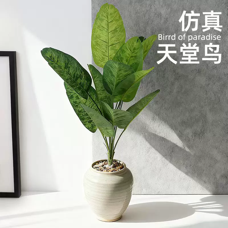 定制仿真旅人蕉天堂鸟绿植盆栽大号24头室内落地客厅盆景芭蕉造景