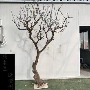 天然干树枝装饰树枝造型树许愿原皮枯树干枝造景庭院原创设计-阿里巴巴