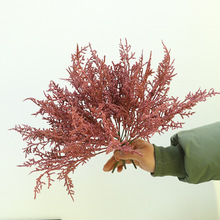 ����ֲ�����˲ݴ̰��������ҾӲ廨�����c�b[���߼��з��滨