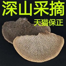 �nɽ�`֥ ��ϼ�Ұ������C�`֥500gë��C����C�ӿ׾����]