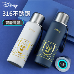 Disney Genuine Smart Children's Thermos Cup Elementary School Special Water Bottle 316 All-Steel Direct Drinking Cup