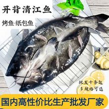 清江魚批發斑點鮰魚鮮活烤魚半成品商用魚開背淡水魚2月25日發完