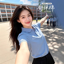 ��Դ�^polo���� �ƹ�����ӡlogo��˾��I�F꠰������Ļ�������