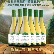 智利原酒进口12.5度 智象安第斯莫斯卡托甜白葡萄酒750ml*6微醺