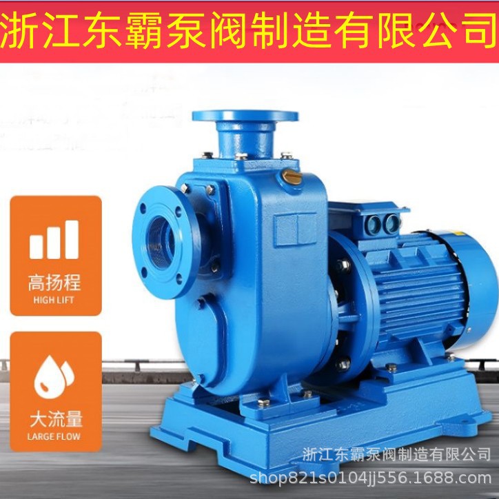BZ直连自吸泵卧式管道离心泵大流量高扬程抽水泵三相循环清水泵