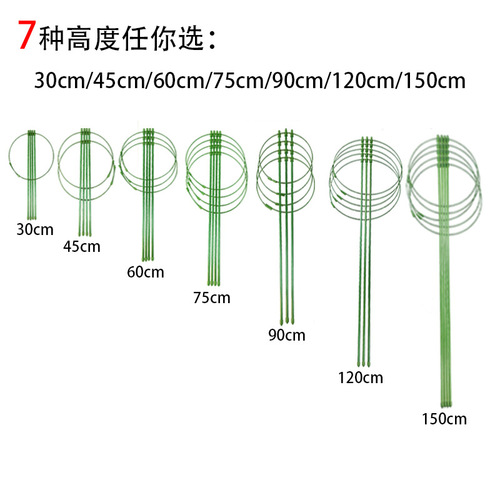 花支架月季花架植物盆室内花卉支撑杆园艺绿萝支架爬藤架客厅绿植