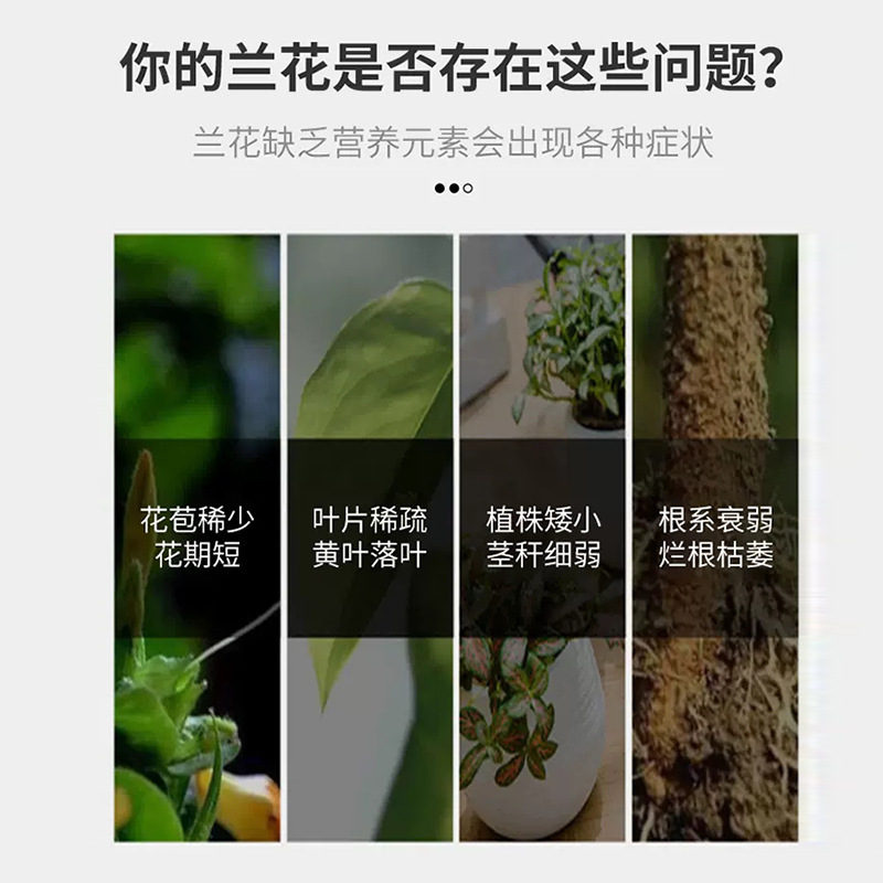 廠家供應八個老頭蘭靈王蘭花專用營養液肥料EM菌君子蘭科蝴蝶蘭墨