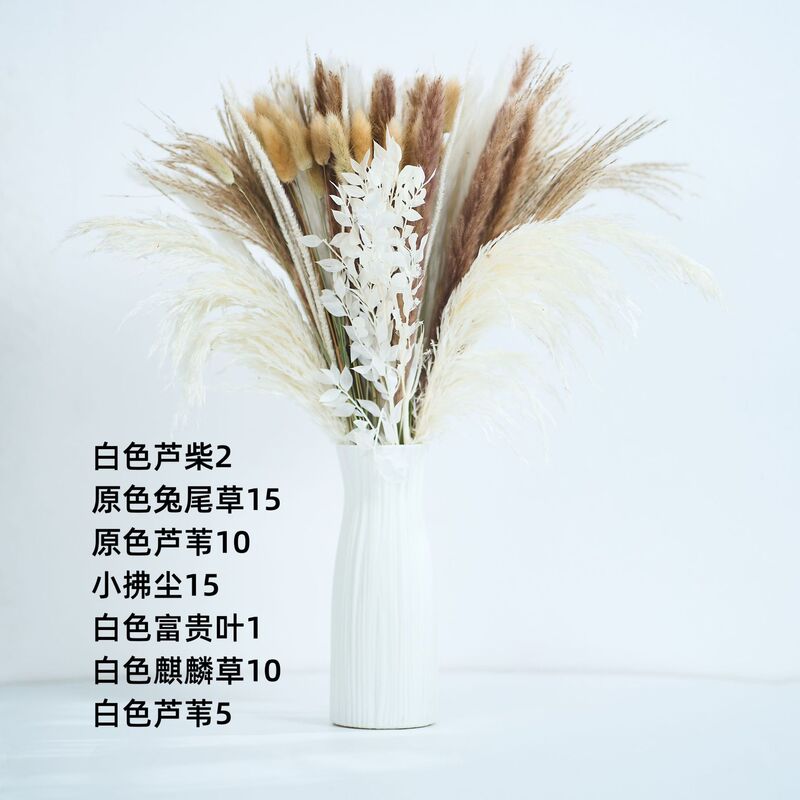 アマゾンはよく売れています。葦の花の花束です。|undefined