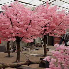 桜の木の桃の花の梅の花の新年の願い事をシミュレーションします。