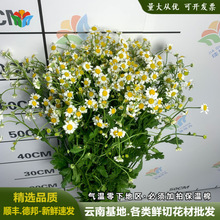 ��ʾ��r����ϻ���ֱ�lС���r�л��r�չ�������[���Fُ�r��؛Դ