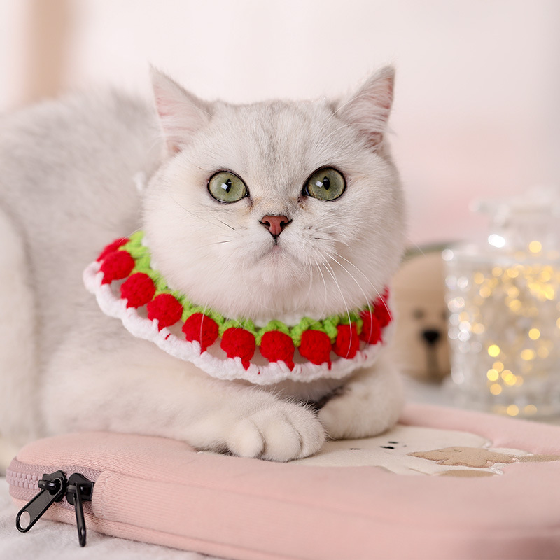 Collar para gatos tejido a mano collar para gatos collar para gatos collar