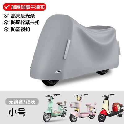Other Electric Vehicle Accessories cover - silver-mirrorless-cover-heightened-and-lengthened-water-leakage-guaranteed