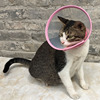 Manufacturer Naoshi Cat Elizabeth Dog Case Medical Sauer Medical Surgery Anti -Bite Cover Covering Cat Licking Cat Cover