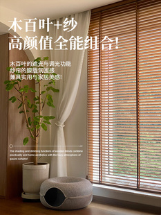 ?ِ��늄�ľ���~��ľ���~�������͏d�͏d����ľ�|������ꖾ�����