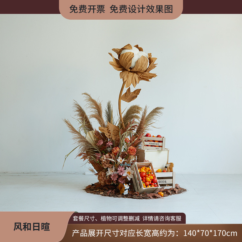 植物造景假绿植棉花云朵芦苇干花装饰直播间秋冬橱窗场景布置日暖|undefined