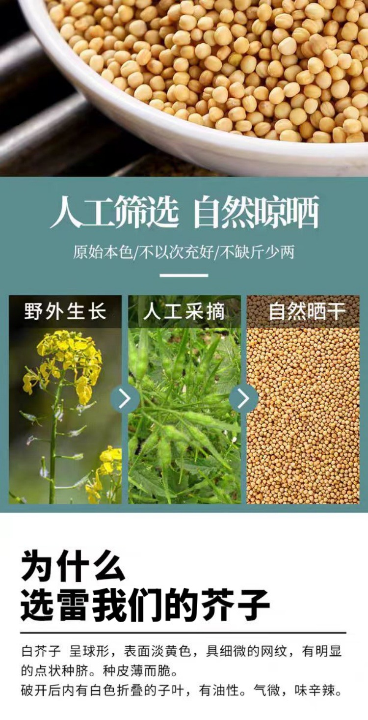 Bai Jie Zi (Sinapis alba) — Sichuan White Mustard Seed, Dried Food Herb 500g key features