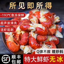 余胖子冷冻鲜活龙虾尾生鲜虾球无冰衣大号虾尾鲜冻小龙虾尾