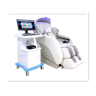 Shared Massage Chair Sl Guide Rail Zero Gravity Space Capsule Station Mall Fully Automatic Multi-Function Massage