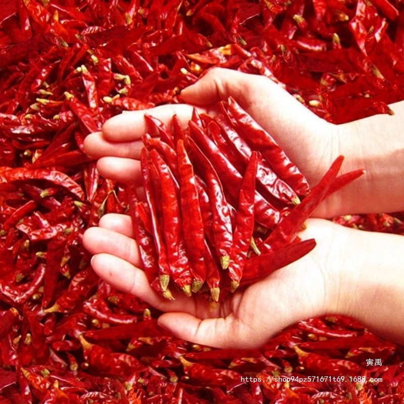 辣椒干辣椒特辣新辣椒干辣椒红辣椒四川辣椒辣椒海椒干辣椒面