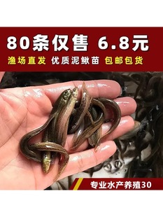 ̨��С���q���r����������~���~���~���~���w����~��឵�ˮ�~��