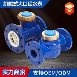 厂家批发水平螺翼式法兰水表计量精准大口径冷热水机械水表