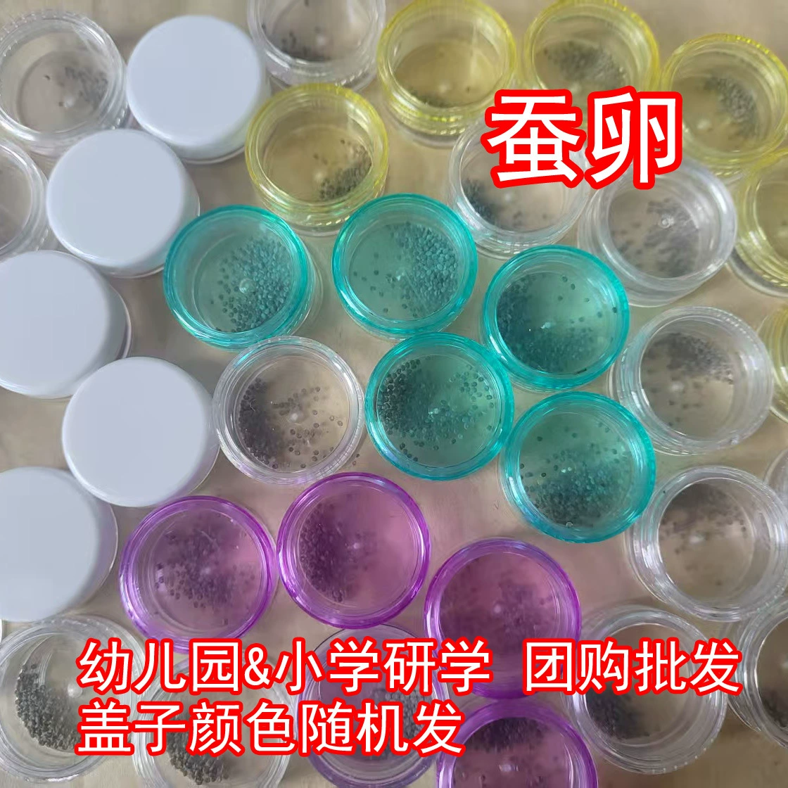 Семена шелкопряда, яйца шелкопряда, принадлежности для уроков по естествознанию для учеников третьего класса детского сада, набор для разведения шелкопряда, детеныши шелкопряда для домашних животных, 100 шт.