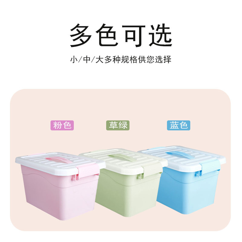 휴대용 보관함 (핑크/녹색/파랑/투명)
