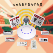 定制ESL电子价签墨水屏商场超市电子标签货架价格牌蓝牙基站版