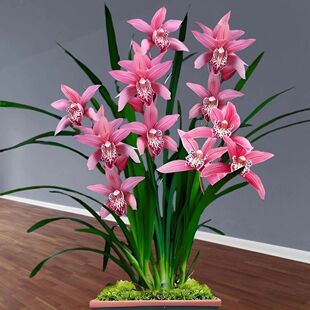 �ͺ��͟��m�����������Խ��mī�m�҃��̨�ļ��_���͏d�Gֲ����