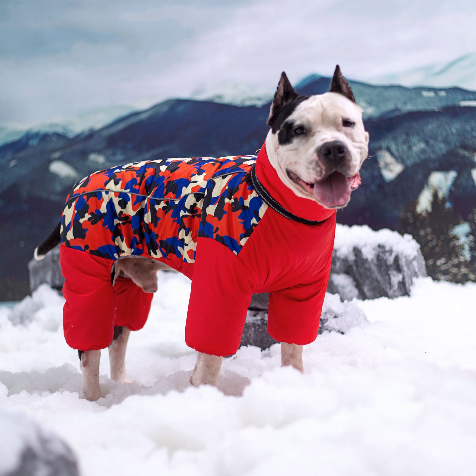 Ropa de algodón para perros de tamaño grande y mediano Alaska Samo Golden Retriever ropa de otoño e invierno para mascotas forrada de lana engrosada de cuatro patas ropa de abrigo