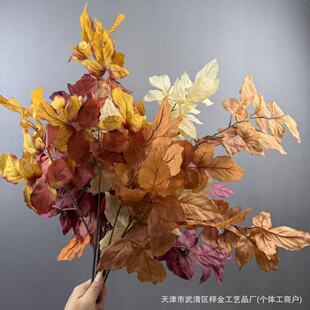 �������B�~ �Y���ͮ������~�ӻ�c�Ƶ���·����׻��Ų廨���l
