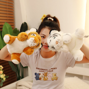 ��ͨ�ϻ���żë�q��߿ɐۗl�y�|������ż���նY�﹫�и��Z���ۻ�