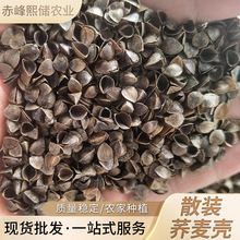 �͜غ決���w�� ���ɏS�����l���w�� ����s�Z�r���Ԯa���w��