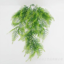 �羳����ֲ��ڒ첨˹�ٗl�ٻ������Ҿ��̵��b����ϻ����G�~���