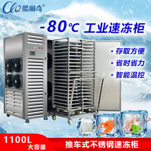 海南椰肉速冻机 储存保存冷冻柜超低温-80度蔬草莓水果柿饼速冻柜