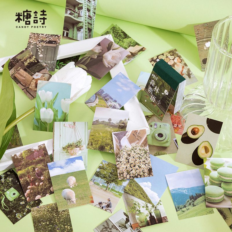 Tangshi Frijol de papel recubierto libro pegatina pasando por la Serie Mundial INS fresco Diario DIY material pegatinas decorativas 8