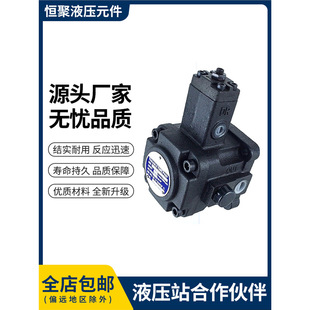 Vhi-F30-A2 Vhi-F40-A3 Vhi-F26/F30/F40/F45-A1 High Pressure Variable Vane Pump